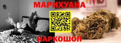 сатива Нальчик