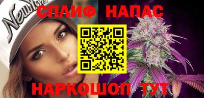 сатива Нальчик