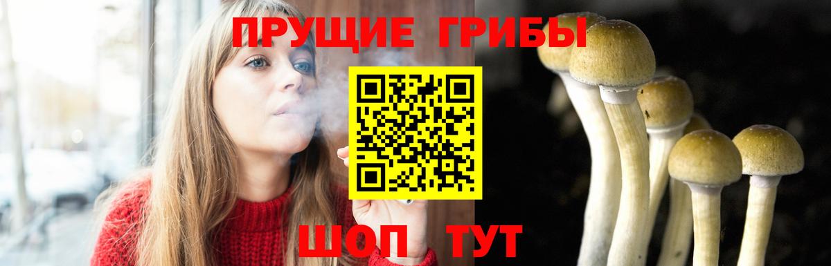 Барнаул  Галлюциногенные грибы мухоморы  Вход с VPN 