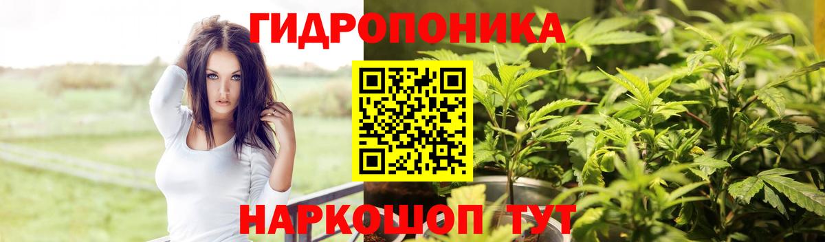 МАРИХУАНА семена Барнаул